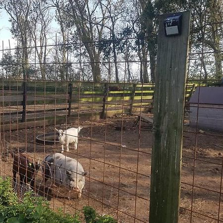 B&B Hoeve Dijkstal Logeren Op De Boerderij Sint Maarten Exterior foto